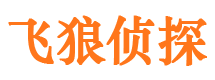 永和外遇调查取证